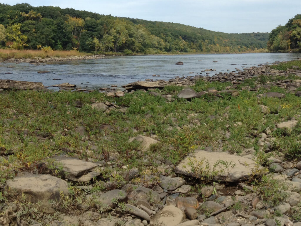 River